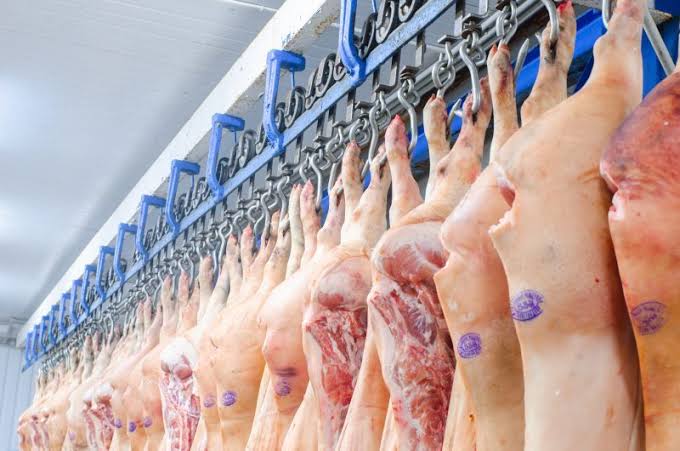 Exportações de carne suína do RS crescem 29,2% em abril e reforçam liderança nacional no setor