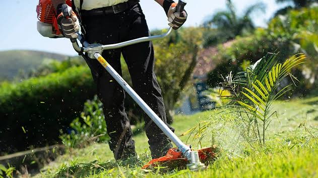 Homem reage a tentativa de assassinato e mata vizinho com roçadeira