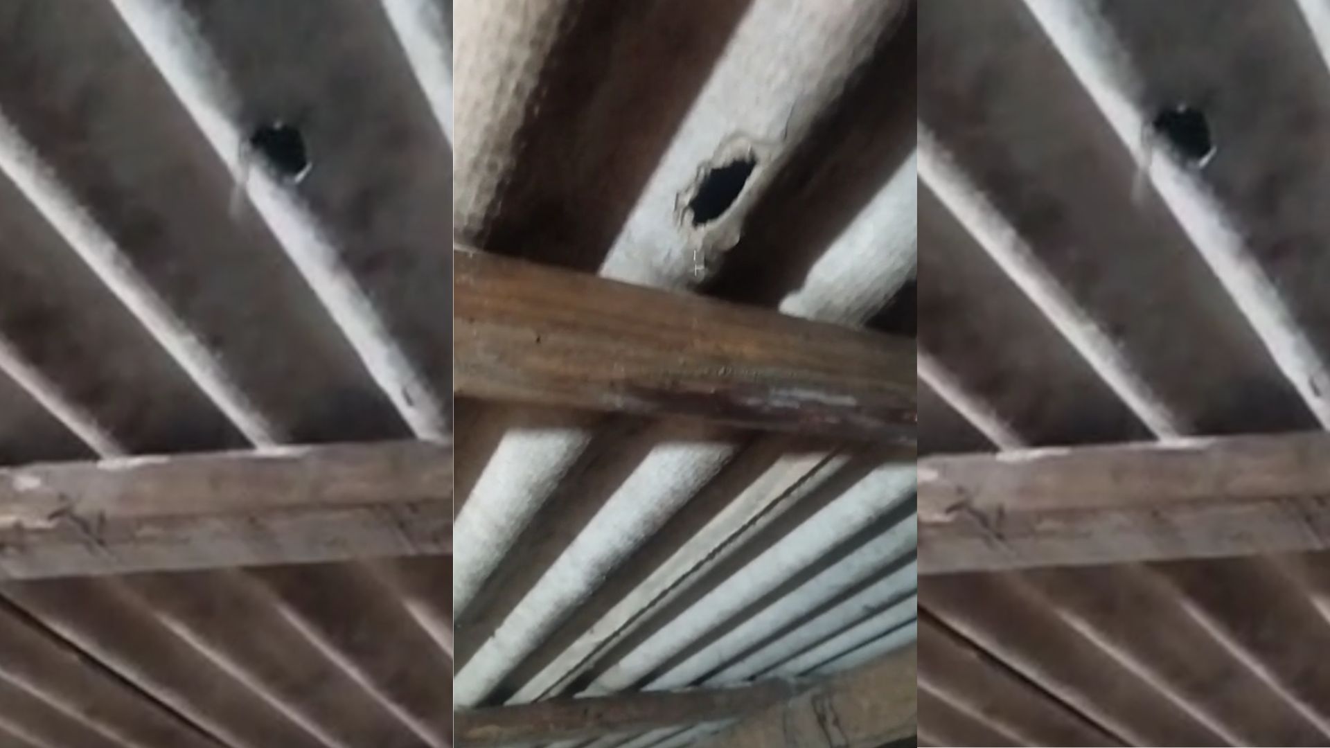 Sob lona e ignorados: moradores do interior de São Borja denunciam descaso e irregularidades na entrega de telhas