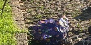 Corpo esquartejado é encontrado em sacola no bairro Santo Antônio, em Porto Alegre