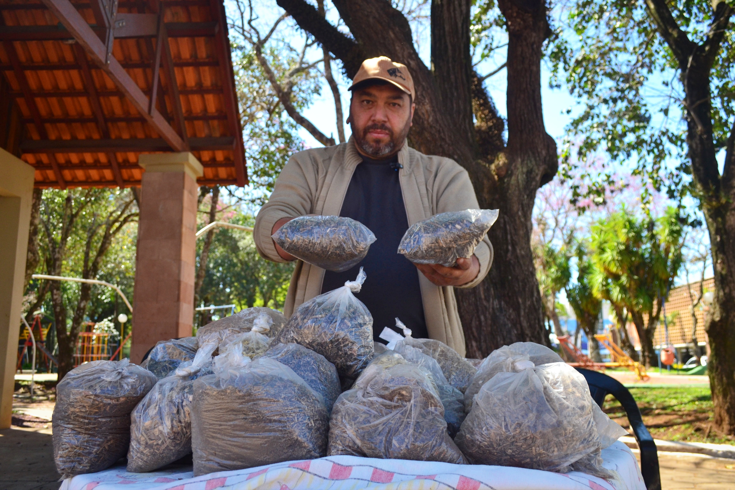 Um chá para cada dor: a sabedoria Kaingang de Cláudio Sales