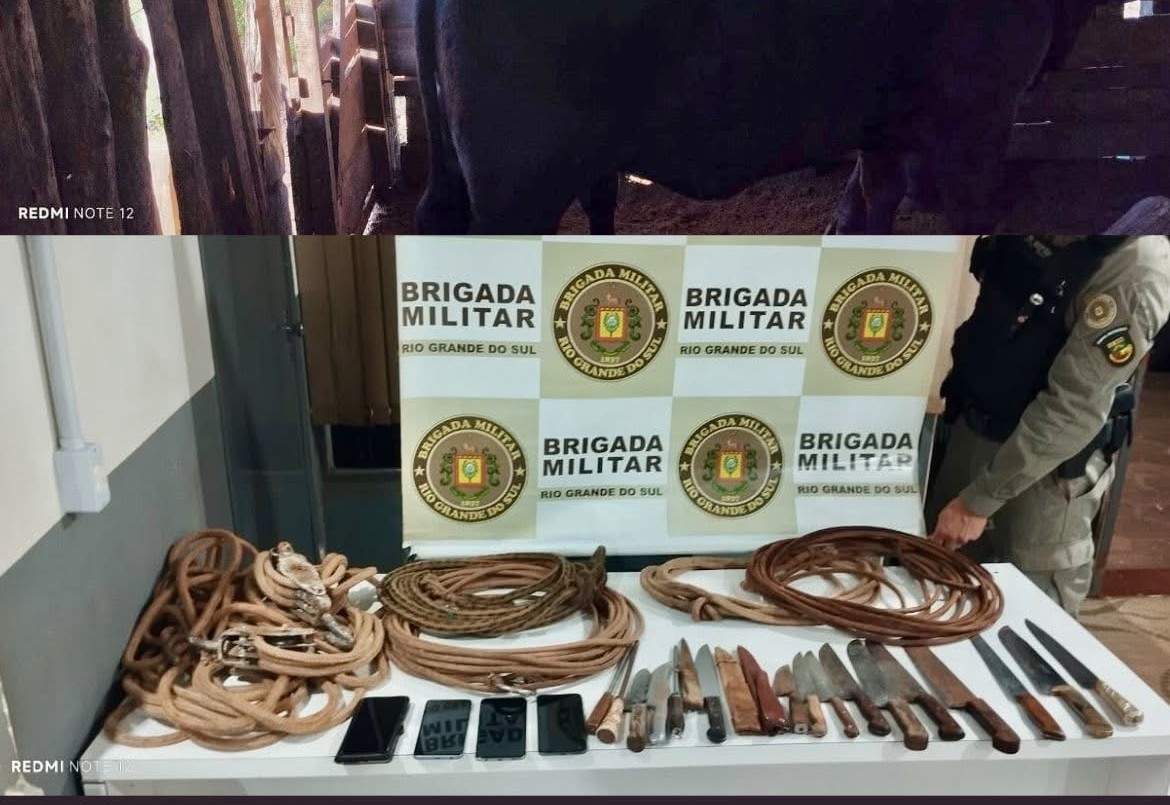 Brigada Militar prende dois homens por furto de gado em Garruchos