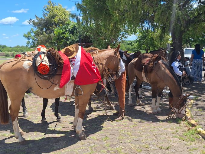 Motorista que causou acidente fatal ao dirigir embriagada é solta no mesmo dia em que Alegrete se despede da vítima