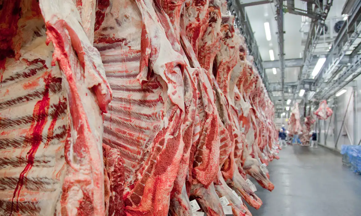 Sobretaxa de 55% da China sobre a carne brasileira ameaça exportações do RS e pode travar vendas ao principal mercado