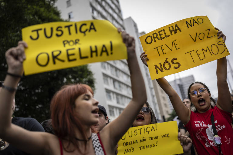 Caso “Orelha”: acusados têm parentes desembargadores, juízes e promotores em SC, diz jornalista da Band