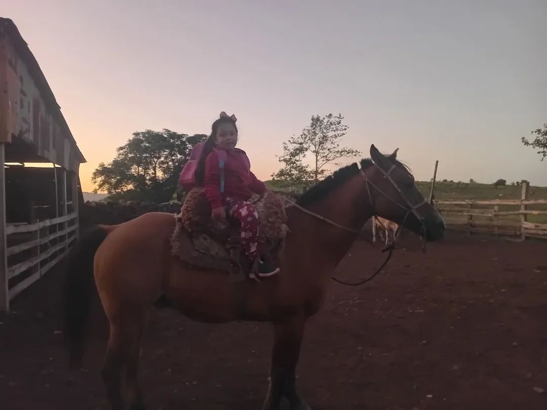 Criança percorre 3,5 km a cavalo para ir à escola no interior de Rosário do Sul devido a falta de transporte