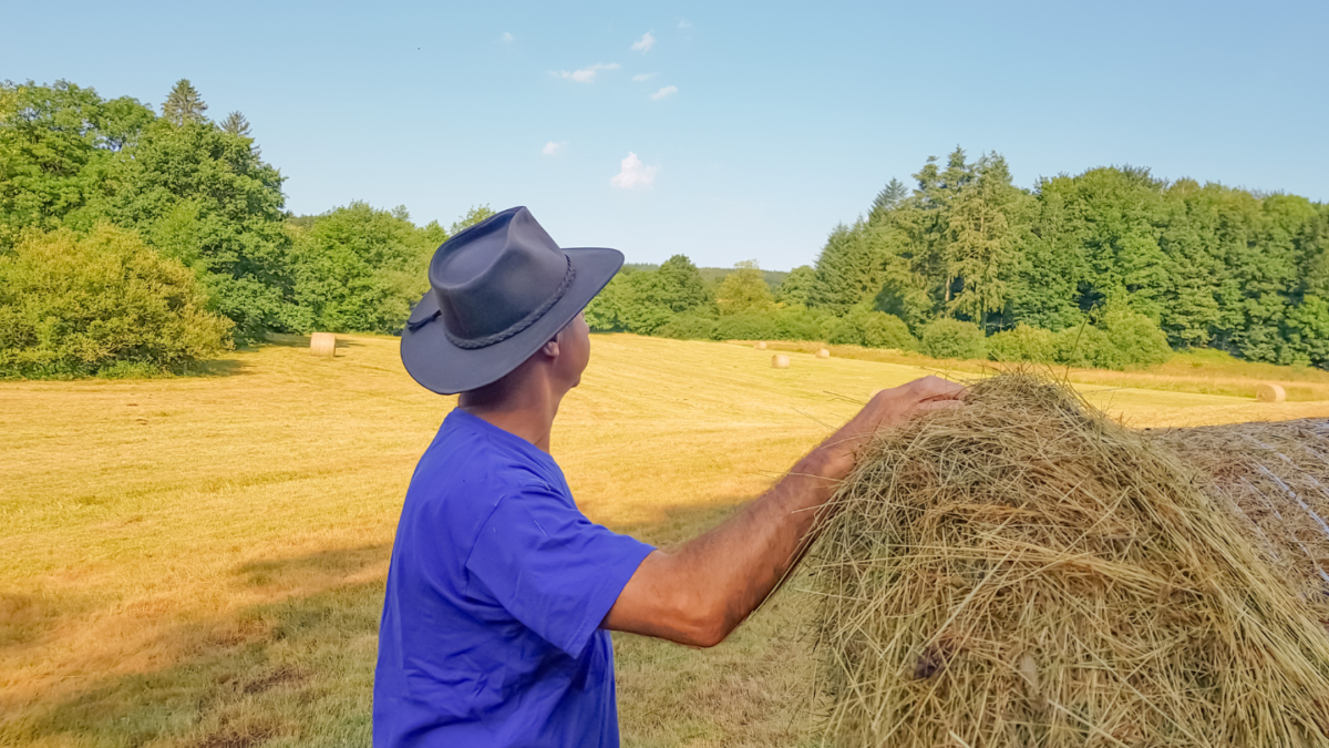 É falso: norma trabalhista não proíbe chapéu e não impõe uso de capacete no campo