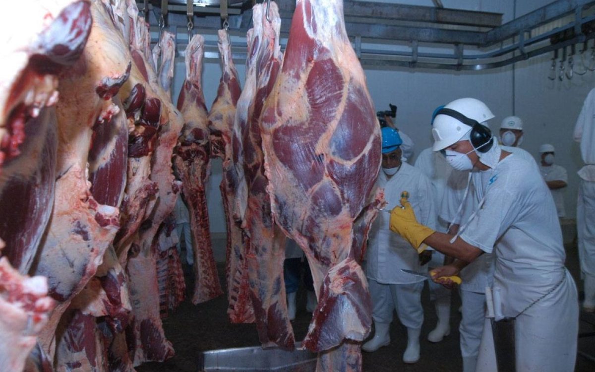 Brasil bate recorde histórico de exportação de carne bovina no mês de setembro, mesmo com tarifas