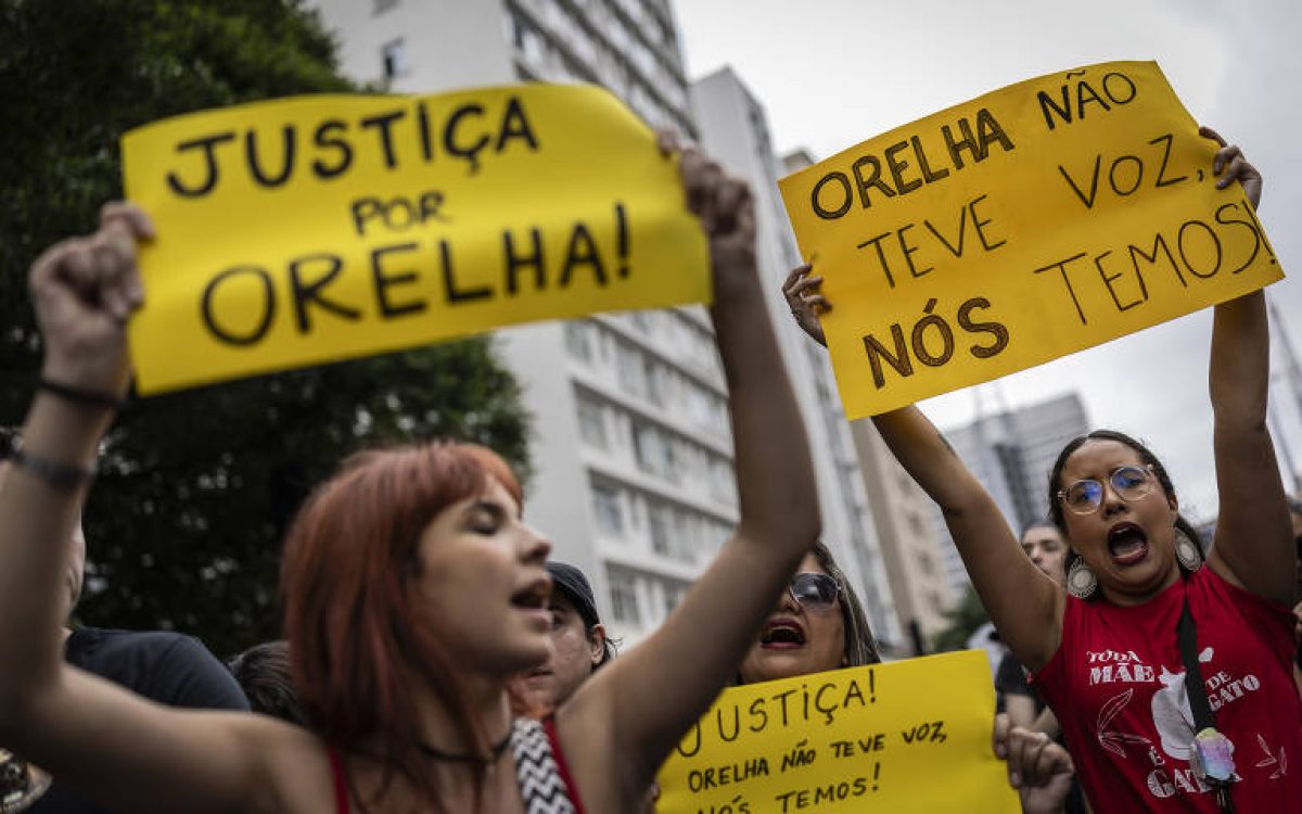 Caso “Orelha”: acusados têm parentes desembargadores, juízes e promotores em SC, diz jornalista da Band