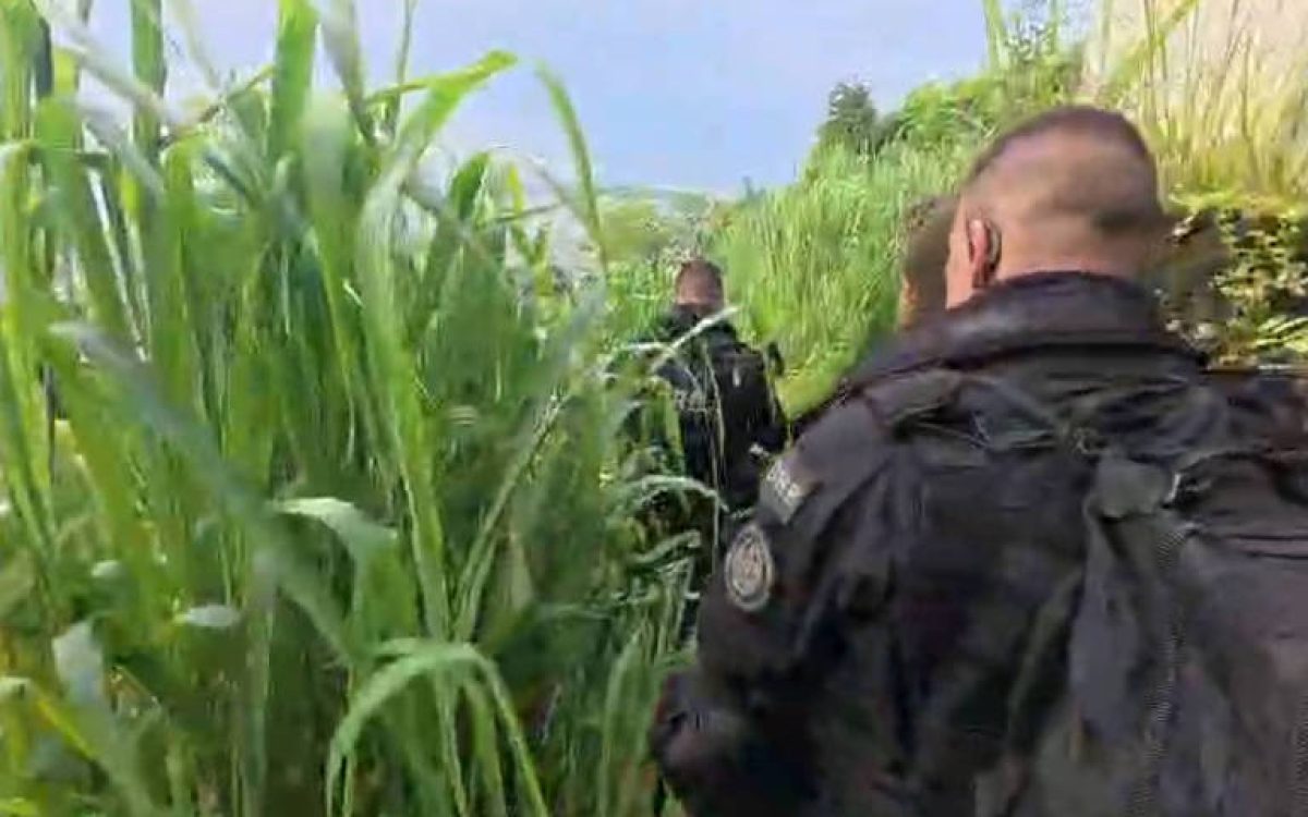 Adolescente sofre estupro coletivo após ser confundida e levada a ‘tribunal do tráfico’ no RJ; polícia faz operação