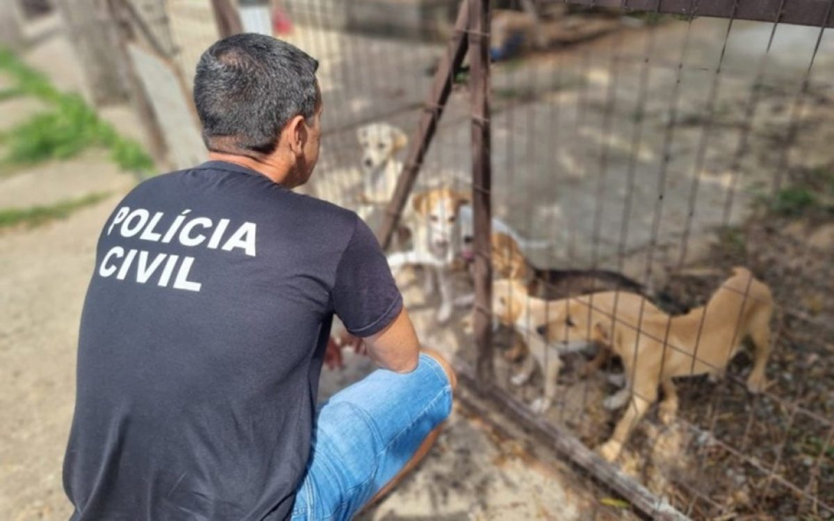 Rio Grande do Sul tem 62 delegacias com selo para investigar maus-tratos a animais