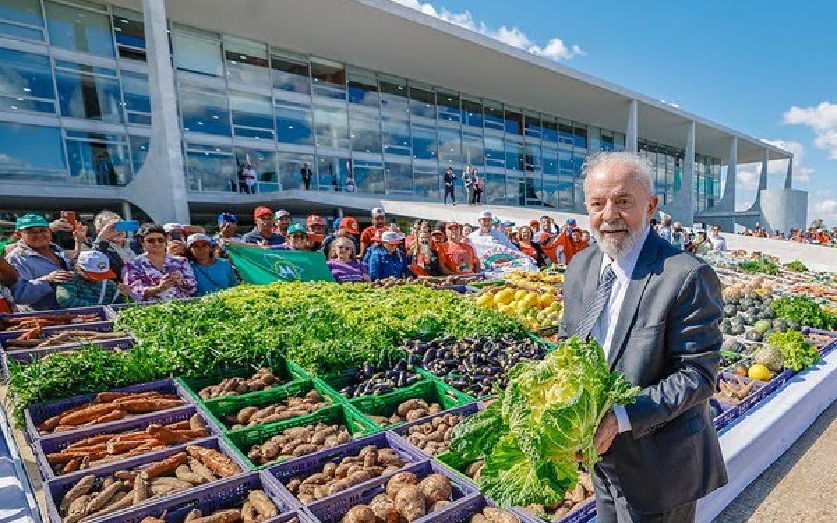 Plano Safra da Agricultura Familiar é lançado com aumento de recursos e crédito de R$ 78,2 bilhões