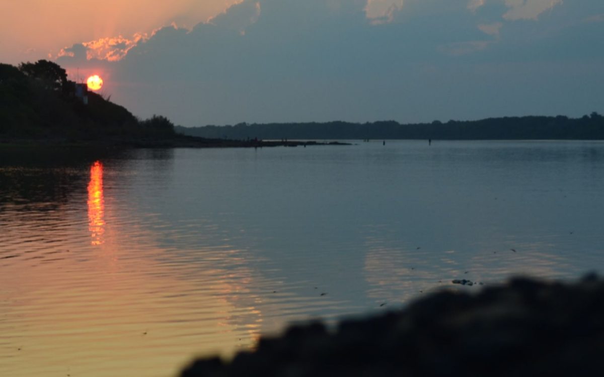 Crônica: Seu Gengiva