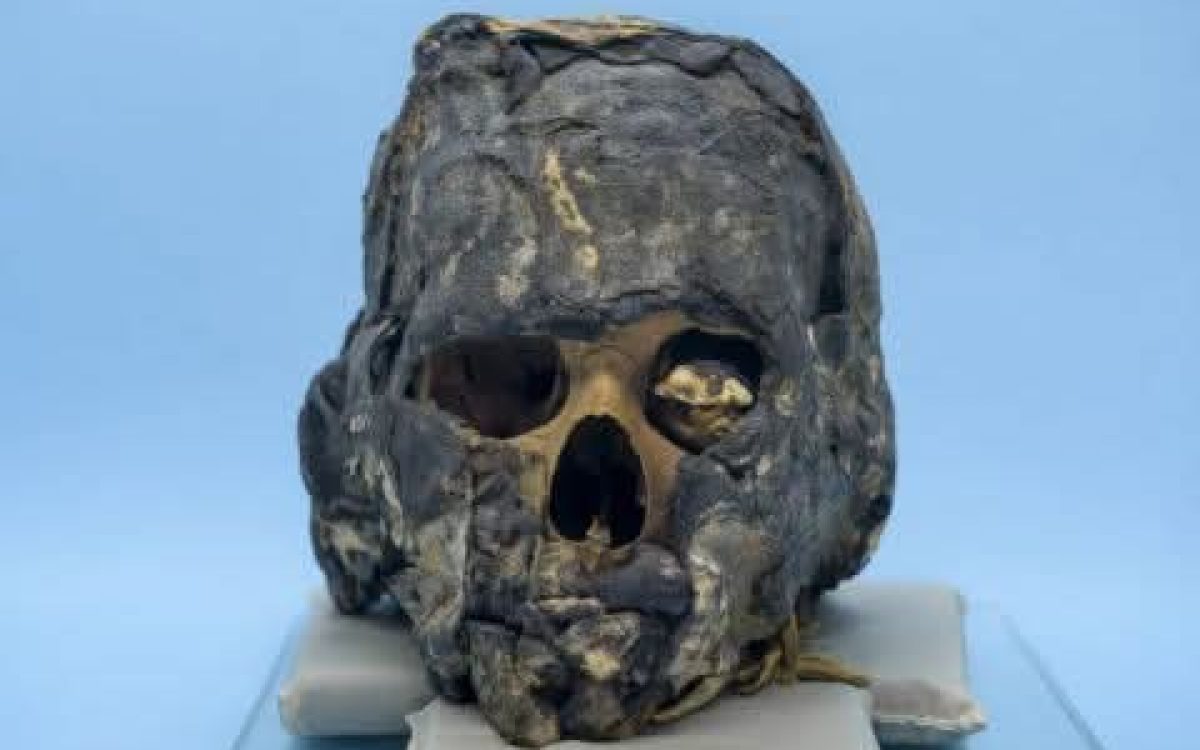 Crânio de múmia egípcia de mais de 2,5 mil anos é descoberta em Cerro Largo, RS