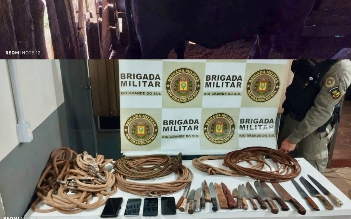 Brigada Militar prende dois homens por furto de gado em Garruchos