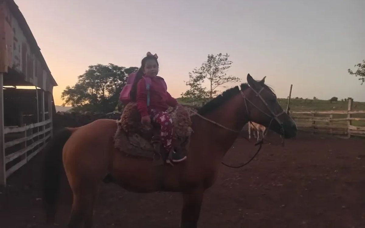 Criança percorre 3,5 km a cavalo para ir à escola no interior de Rosário do Sul devido a falta de transporte