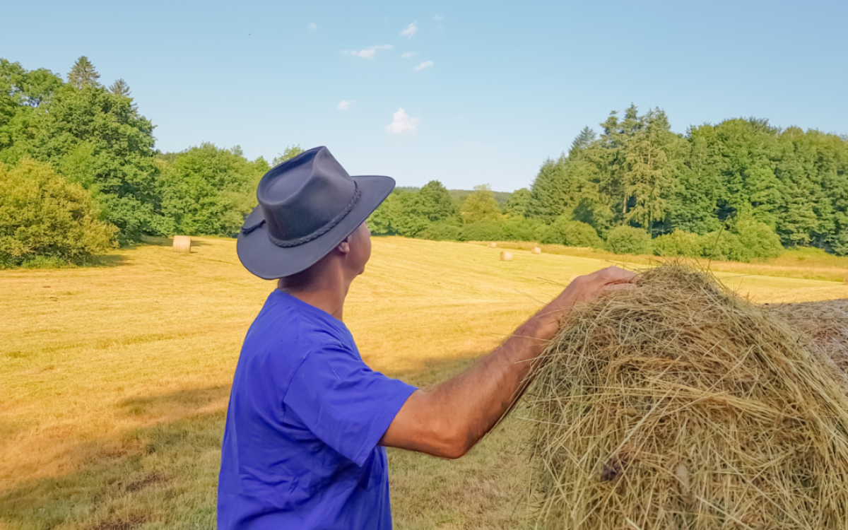 É falso: norma trabalhista não proíbe chapéu e não impõe uso de capacete no campo