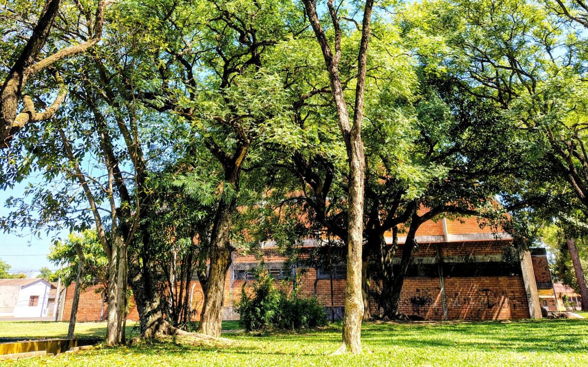 Semana será de sol, calor crescente e sem previsão de chuva em São Borja