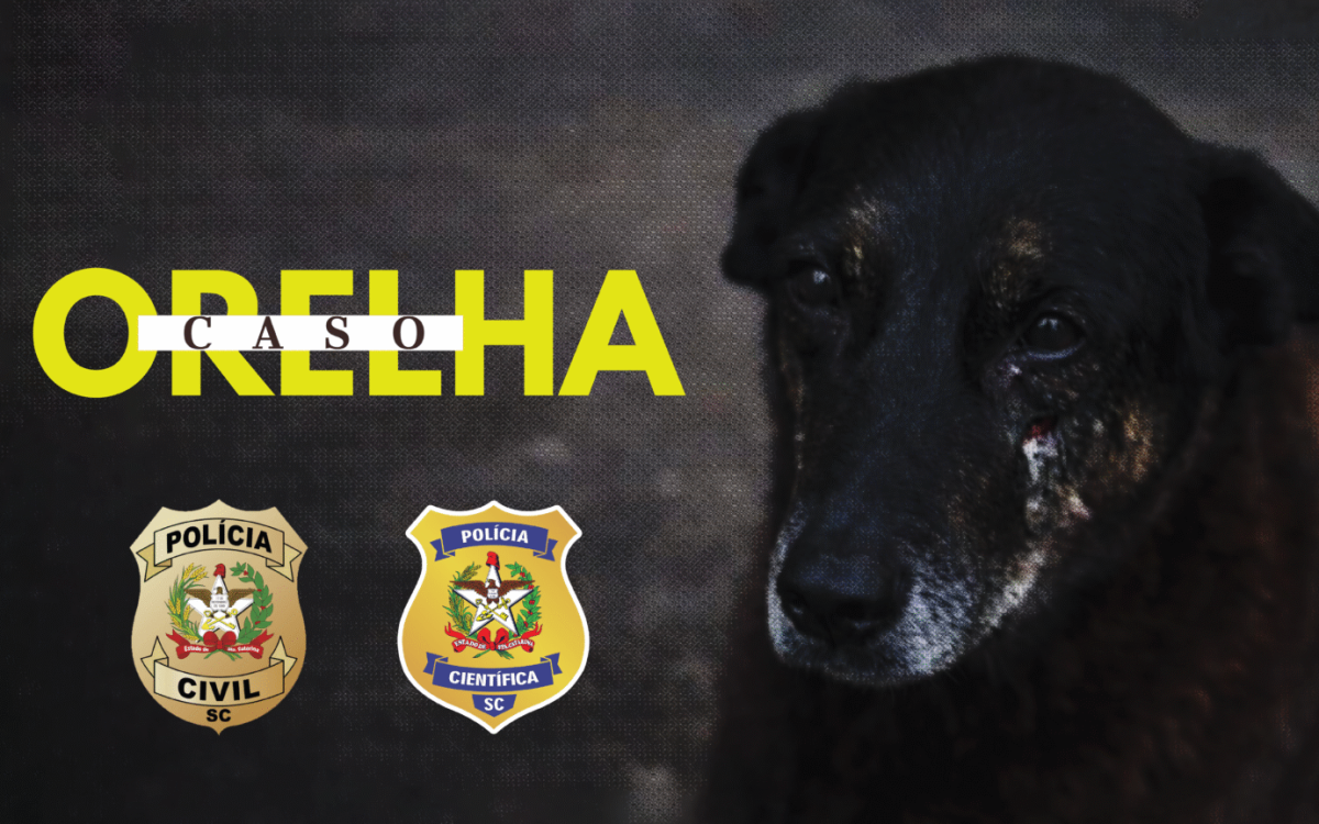 Polícia Civil conclui investigação sobre morte do Cão Orelha e pede internação de adolescente em Florianópolis