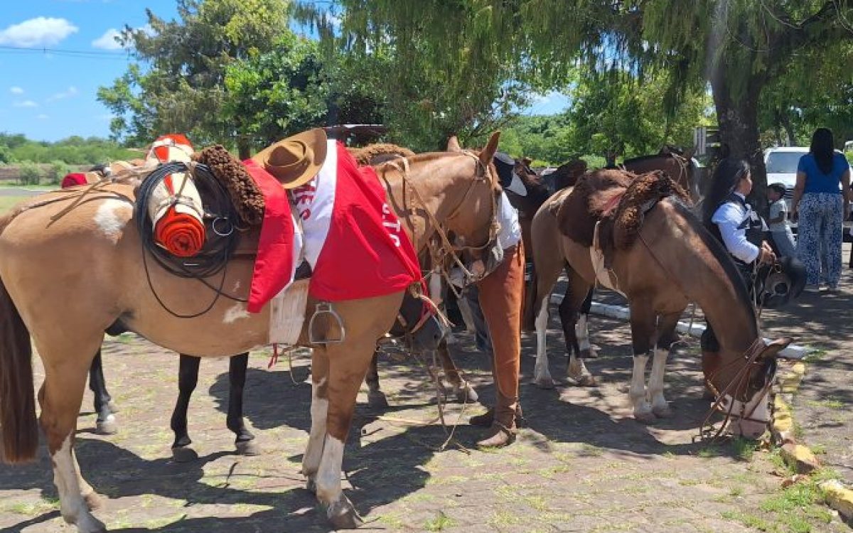 Motorista que causou acidente fatal ao dirigir embriagada é solta no mesmo dia em que Alegrete se despede da vítima
