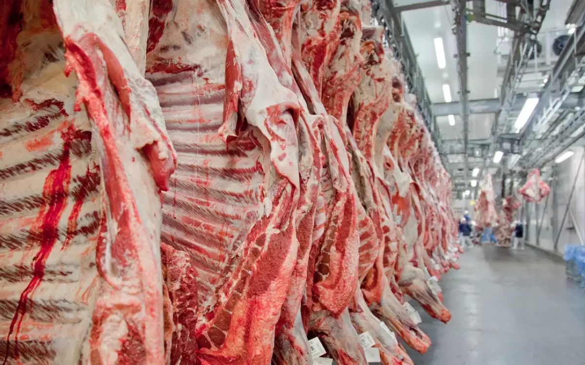 Sobretaxa de 55% da China sobre a carne brasileira ameaça exportações do RS e pode travar vendas ao principal mercado