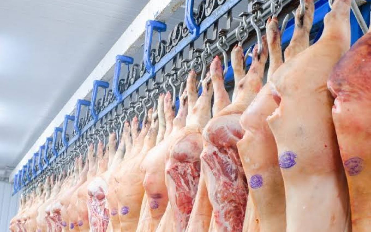 Exportações de carne suína do RS crescem 29,2% em abril e reforçam liderança nacional no setor