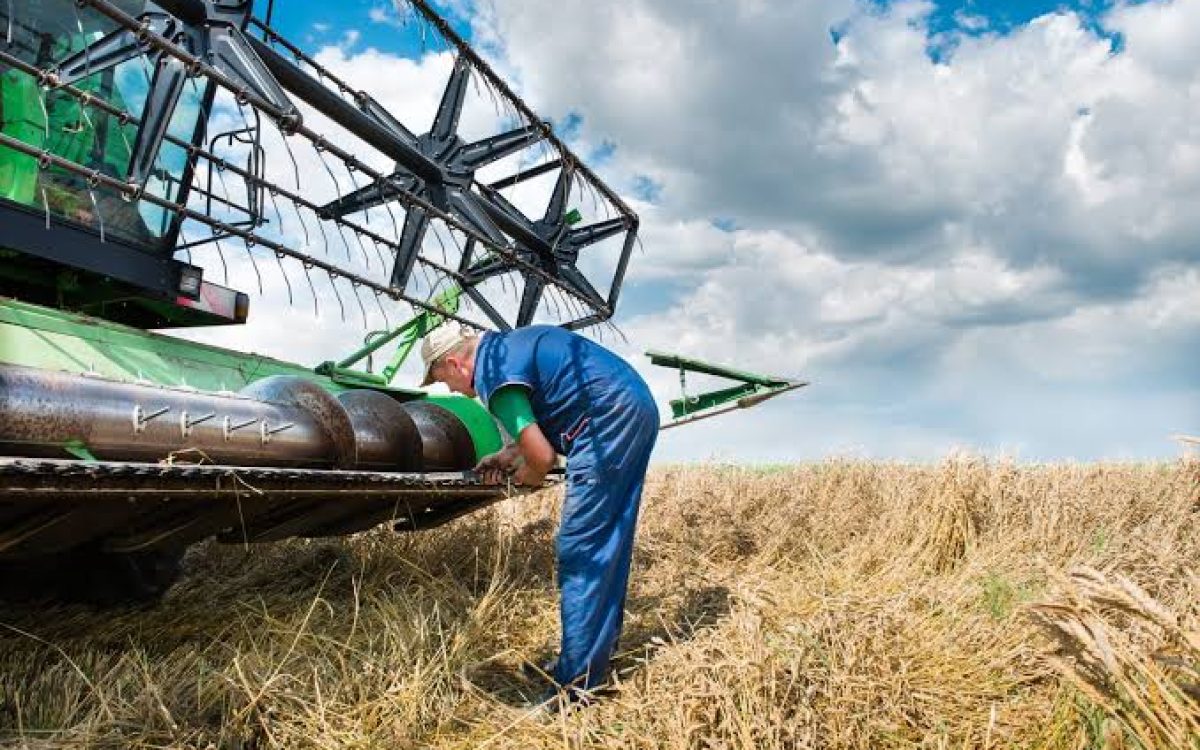 Tarifa de Trump ameaça agro e indústria gaúcha: RS pode ser fortemente impactado por novo imposto de 50% nos EUA