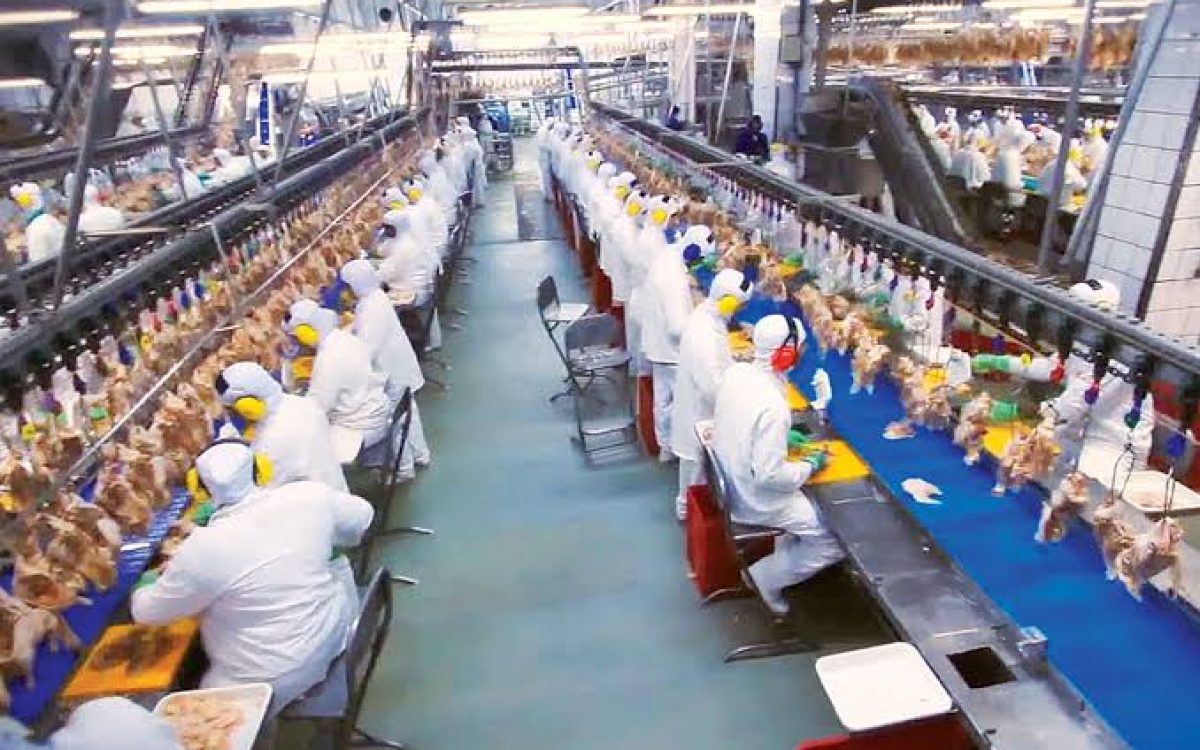 Trabalhadores de empresa localizada em Marau (RS) eram obrigados a ficar de roupa íntima em áreas coletivas, aponta MPT