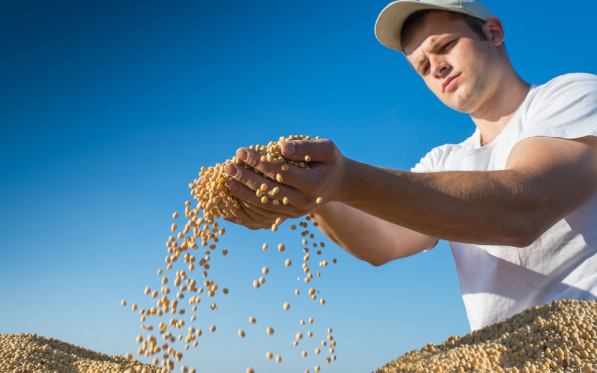Governo do RS libera R$12 milhões para tentar conter saída de jovens do campo e fortalecer a agricultura familiar