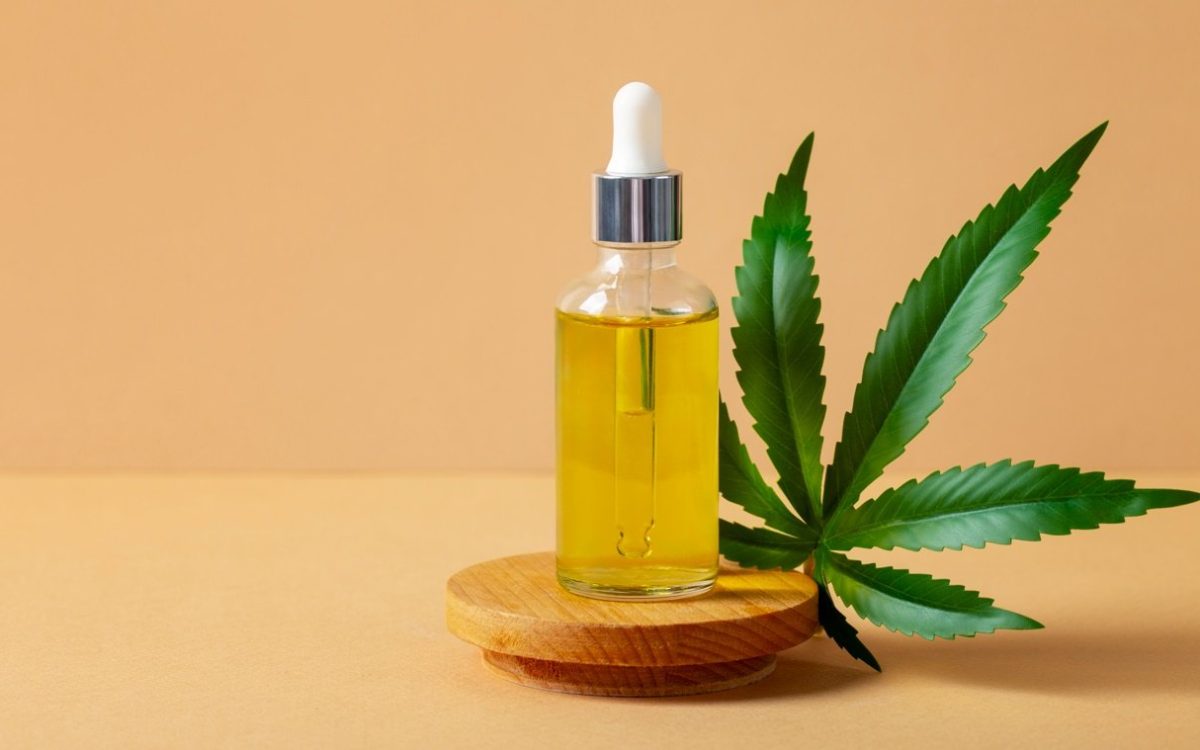 Anvisa autoriza cultivo de cannabis por empresas e amplia acesso a medicamentos no país